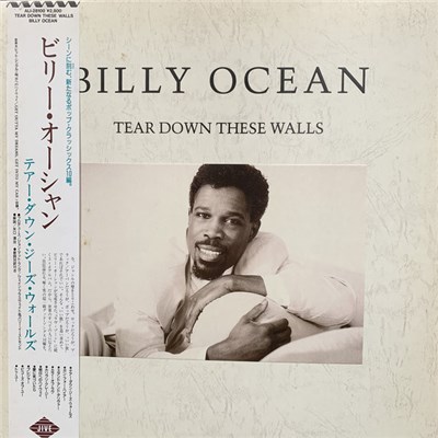 Billy Ocean - Tear Down These Walls download mp3 flac