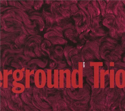 Chicago Underground Trio - Slon download mp3 flac