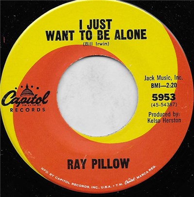 Ray Pillow - I Just Want To Be Alone / I Like A Whole Lot download mp3 flac