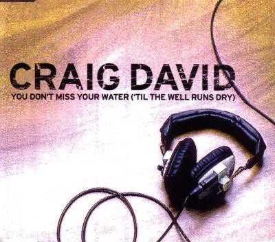 Craig David - You Don't Miss Your Water ('Til The Well Runs Dry) download mp3 flac