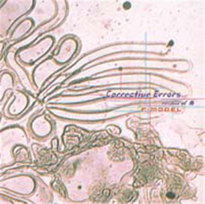 P-Model - Corrective Errors～remix of 舟 download mp3 flac