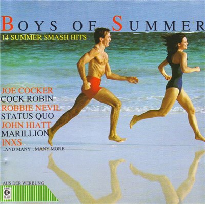 Various - Boys Of Summer - 14 Summer Smash Hits download mp3 flac