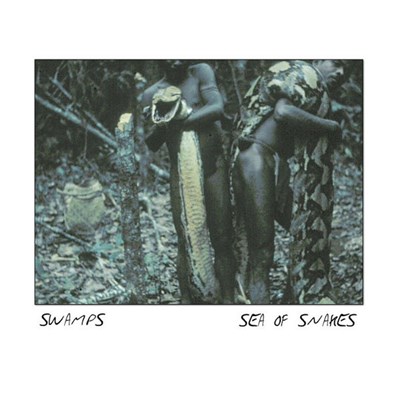 Swamps - Sea Of Snakes download mp3 flac