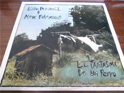 Edie Brickell & New Bohemians - Ghost Of A Dog = El Fantasma De Un Perro download mp3 flac