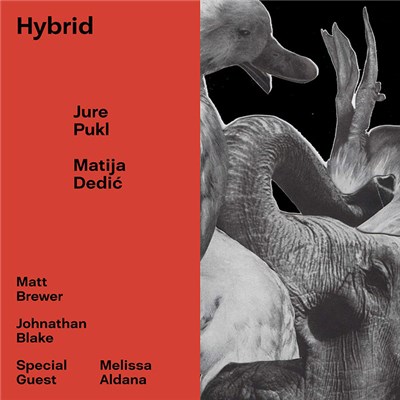 Jure Pukl & Matija Dedić - Hybrid download mp3 flac