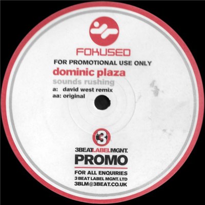 Dominic Plaza - Sounds Rushing download mp3 flac