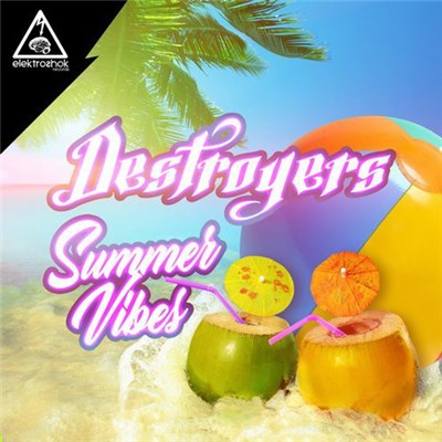 Destroyers - Summer Vibes download mp3 flac