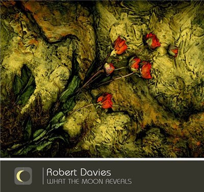 Robert Davies - What The Moon Reveals download mp3 flac