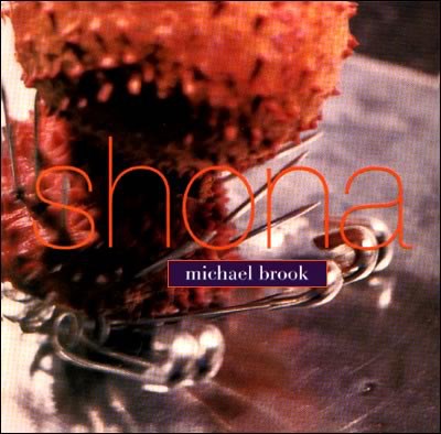 Michael Brook - Shona download mp3 flac