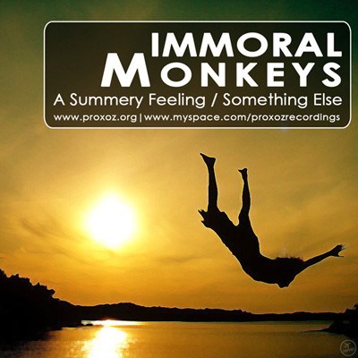 Immoral Monkeys - Something Else / A Summery Feeling download mp3 flac