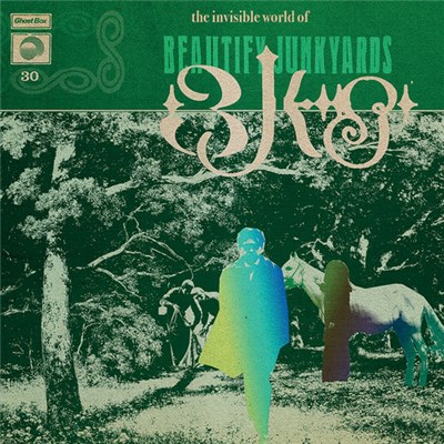 Beautify Junkyards - The Invisible World Of Beautify Junkyards download mp3 flac
